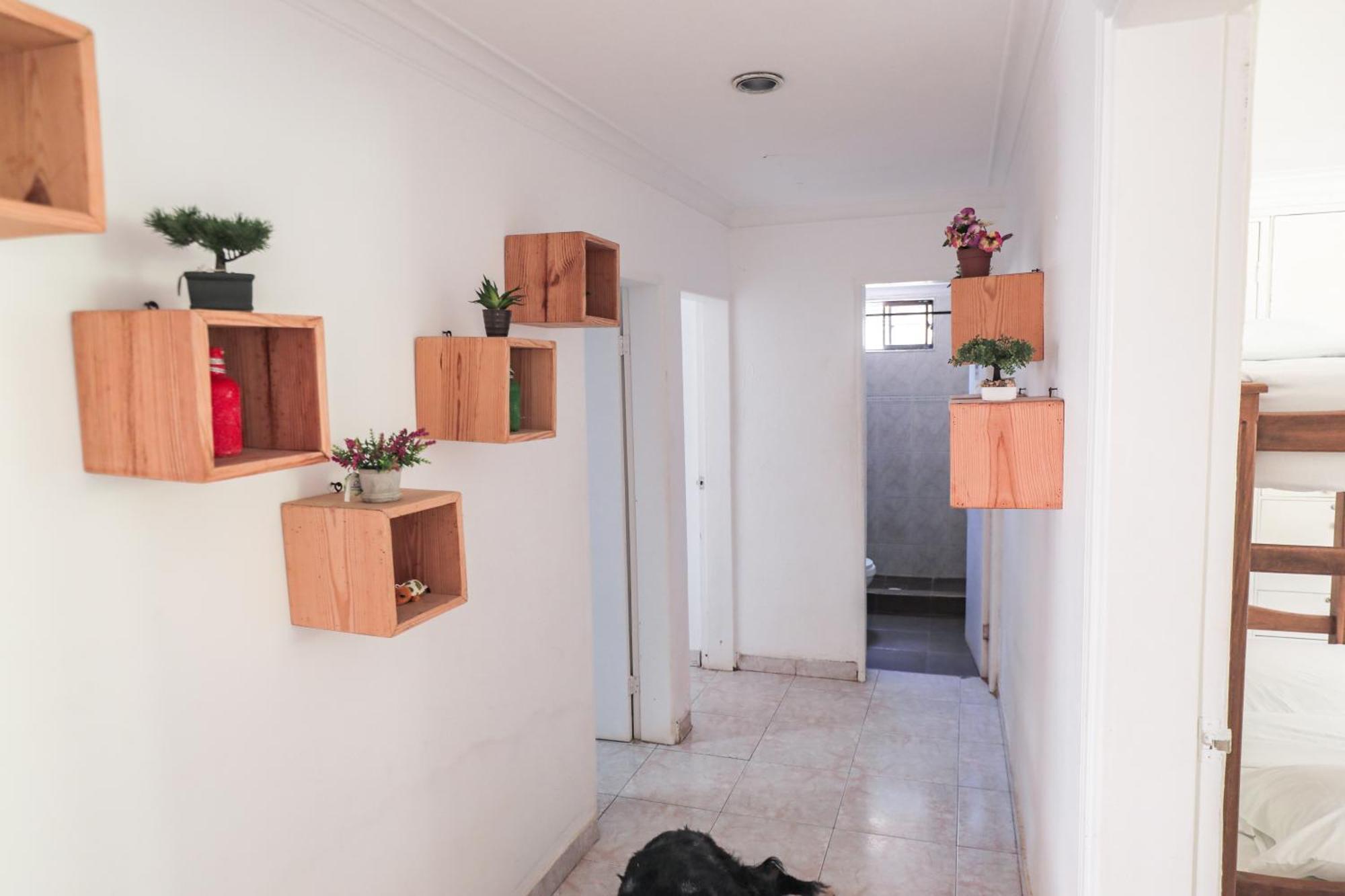 Hostal Palo Alto San Andres  Luaran gambar